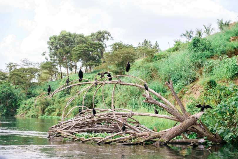 The-Nile-River-Lake-Victoria-Uganda-Africa-Lindsey-Pantaleo (7)