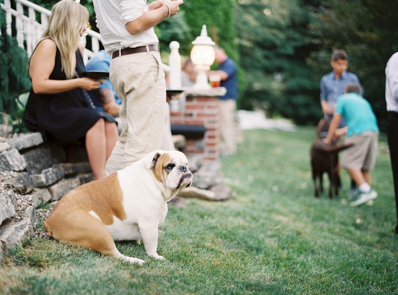 Outdoor-Wedding-Hannibal-Missouri-Lindsey-Pantaleo-Backyard-Wedding (19)